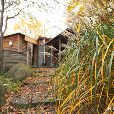 Sauna-06 Sauna-06